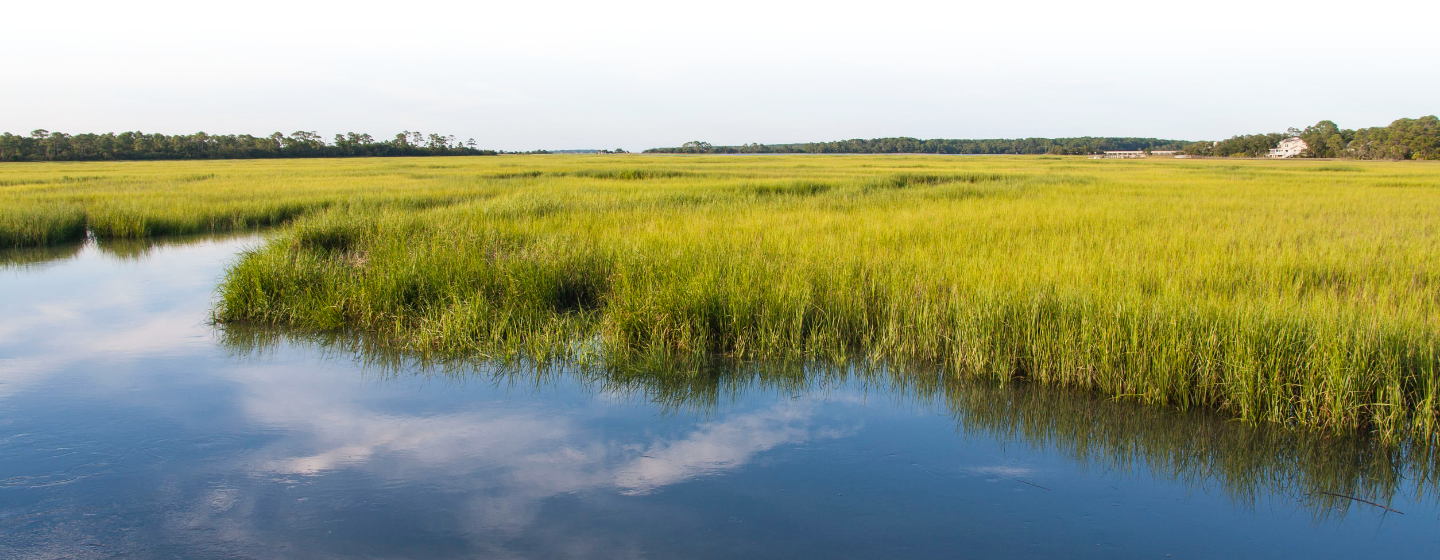 conservation-the-national-environmental-education-foundation-neef