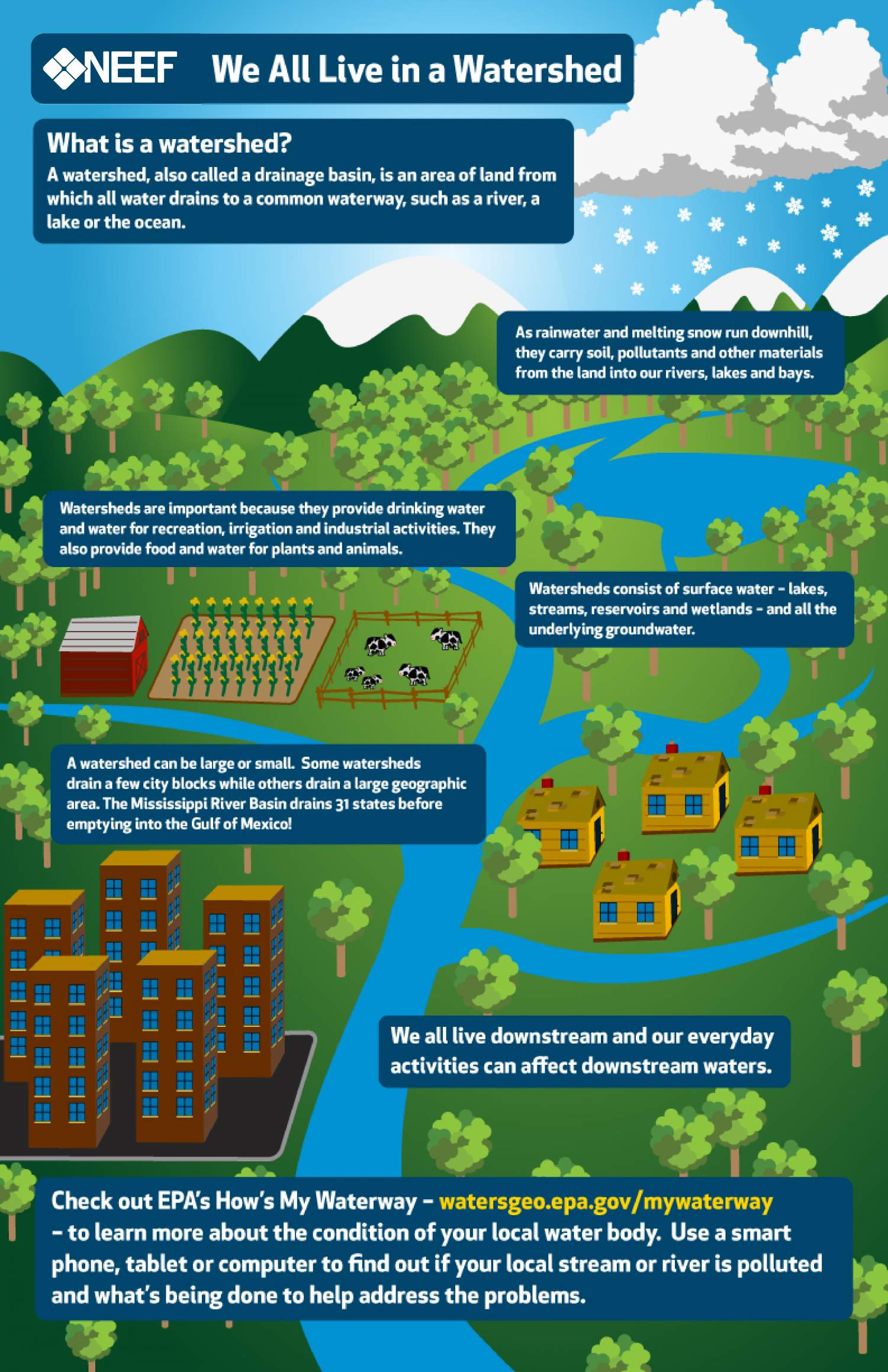 NEEF Infographic: We All Live in a Watershed