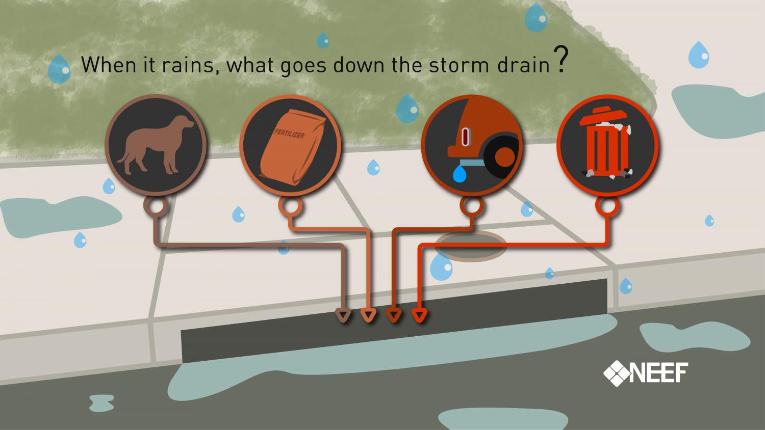 When it rains, what goes down the storm drain?
