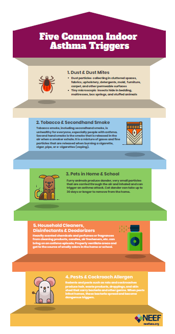 Five Common asthma triggers infographic