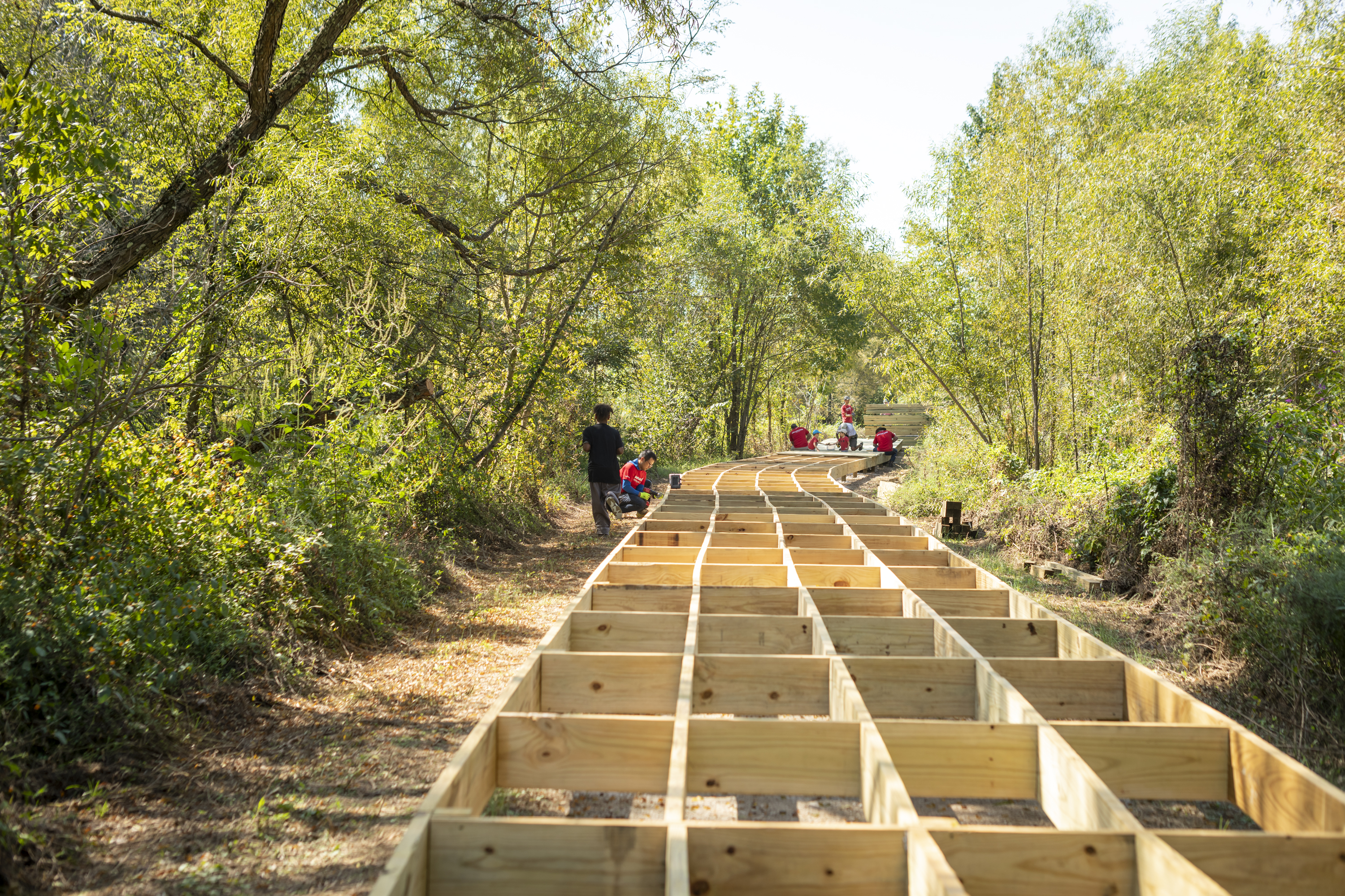 Boardwalk structure through wooded area