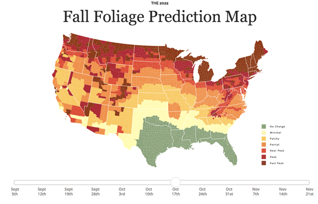Fall foliage prediction map