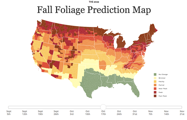 How climate change disrupts fall foliage