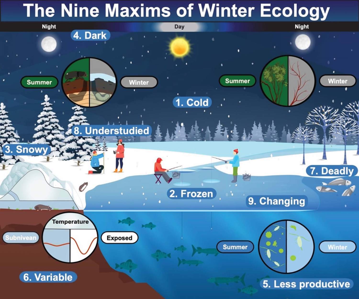 Wildlife's Winter Survival Guide