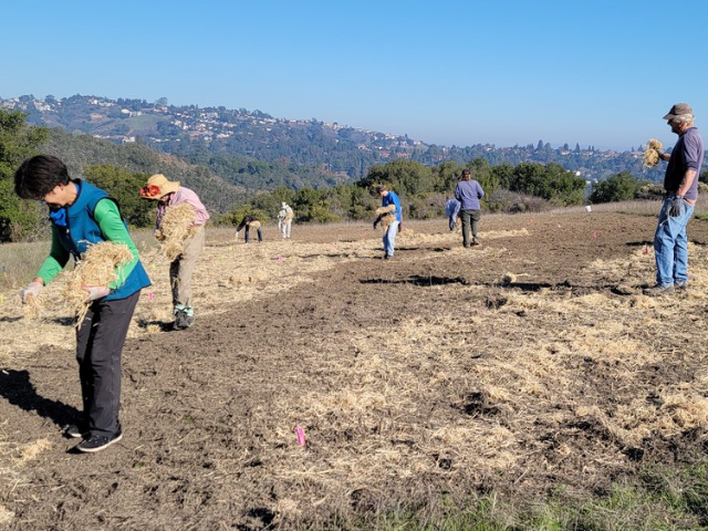 People in open field planting seeds