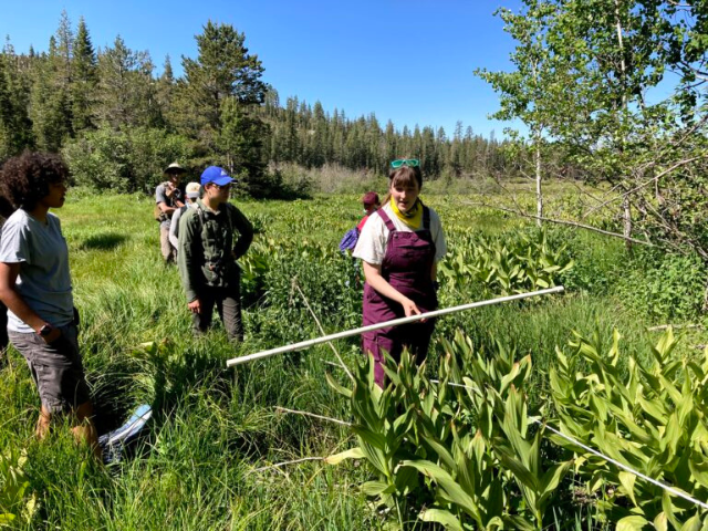 Woman in field with students demonstrating surveying