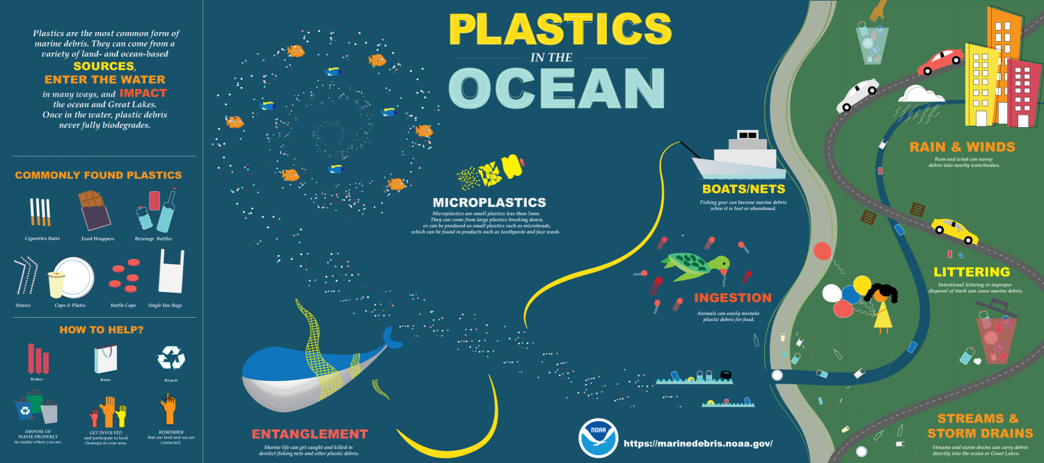 Plastics in the Ocean diagram of how plastics get into the ocean and break down over time