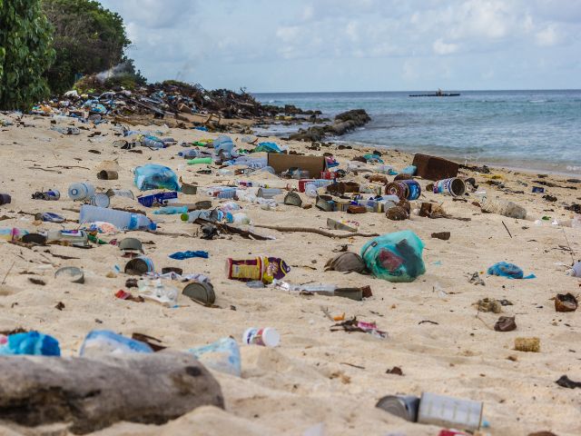 Help Protect Ocean Ecosystems by Reducing Marine Debris | The National ...