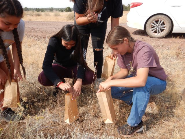group of Native American students collecting seeds and putting into brown bags