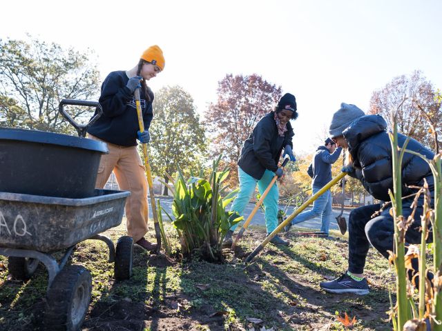 NPLD volunteers at Kenilworth Aquatic Gardens help maintain a plant