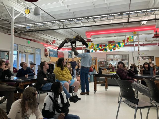 Slim the golden eagle and her handler, Monte Tish, showing off for One Stone students.