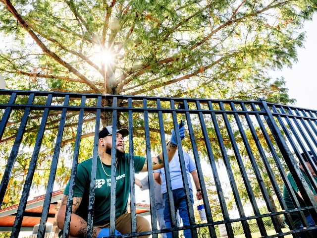 a man paints a iron fence under a big tree during National Public Lands Day