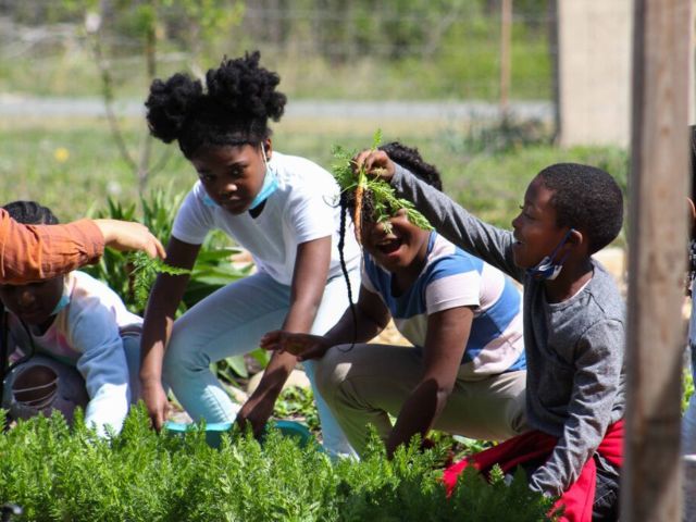 a young boy smiles while pulling a carrot from a garden during an environmental education activity