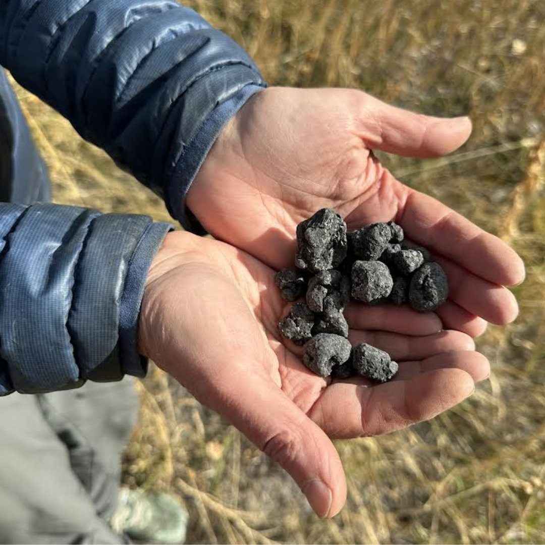 Close up of seedballs in closed hands