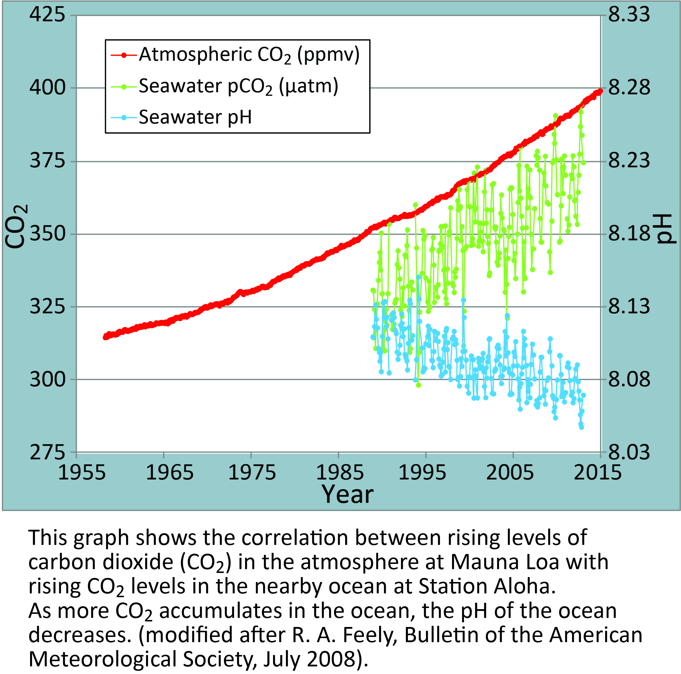 Marine Life and Ocean Acidity  The National Environmental