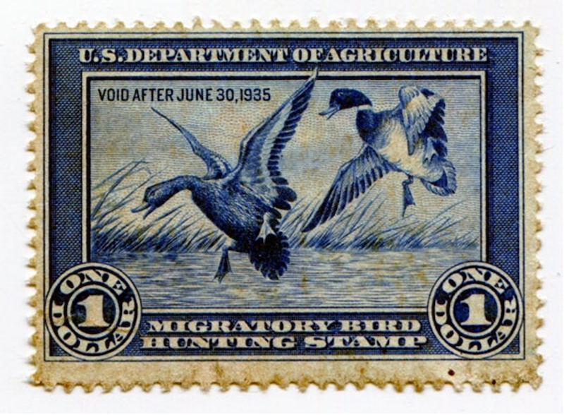 first duck stamp from 1935 with picture of mallard ducks