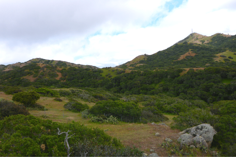 landscape of Upper Cottonwood on Catalina Island California