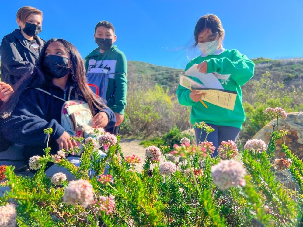 fifth grade students learning to identify plants in Moro Canyon