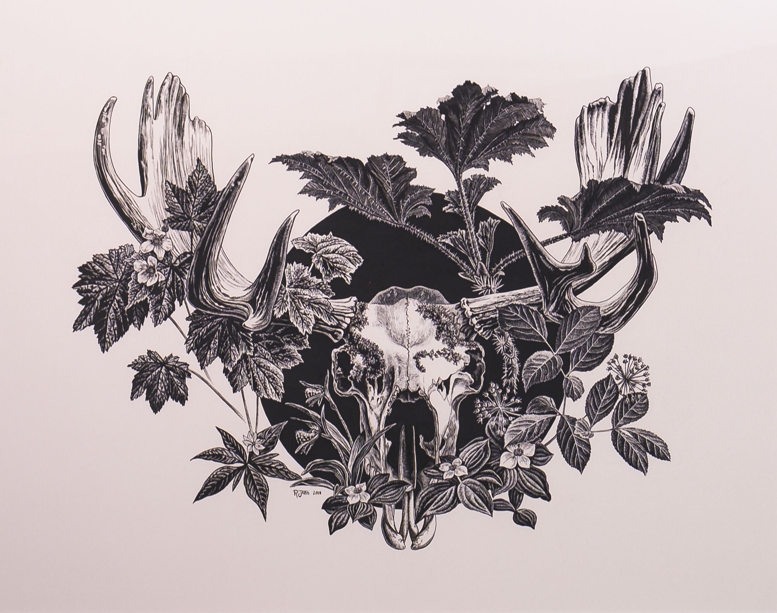 Stunning Pen Drawings Raise Environmental Awareness