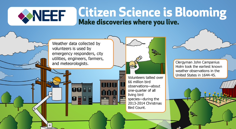 Citizen Science is Blooming | NEEF