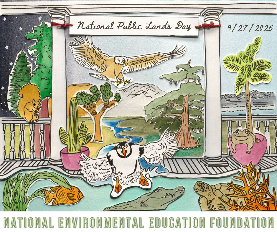 National Public Lands Day 2025 Graphic depicting a diversity of iconic flora and fauna from west to east coast including sequoia, Joshua tree, puffin, bald eagle, alligator, sea turtle and more