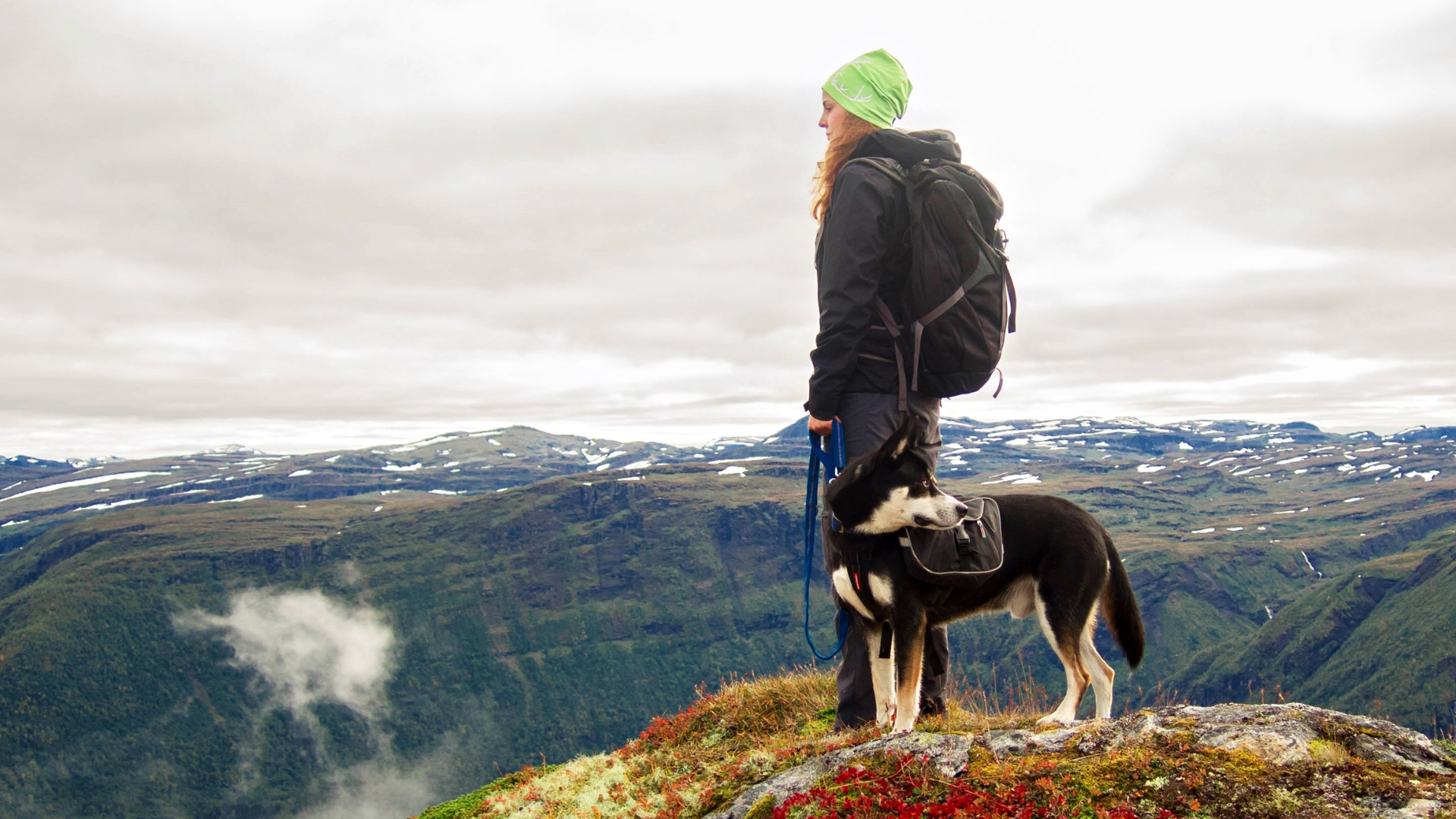 A woman wearing hiking gear stands at the top of a mountain with her dog, surveying the snow-capped mountainous landscape around her.