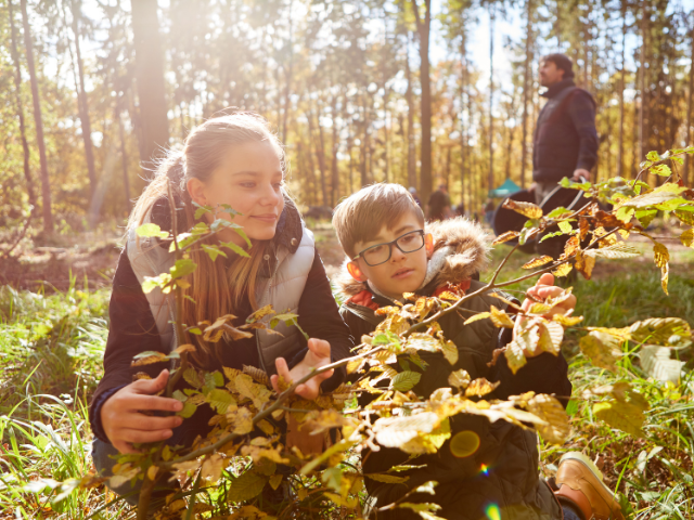 Two children get a close-up look at the leaves on a fallen branch in a sunny forest