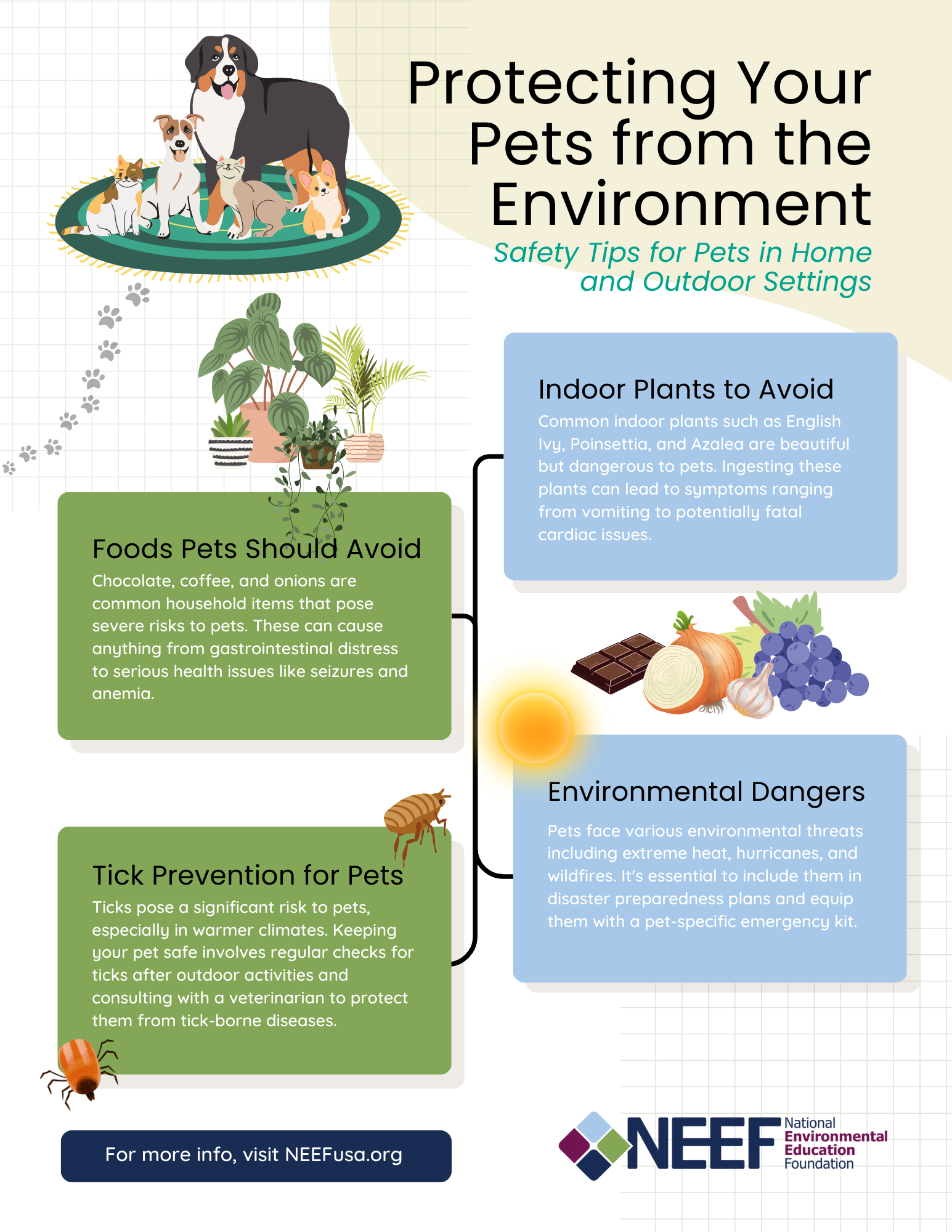 An infographic with information on what indoor and outdoor plants your pets should avoid.