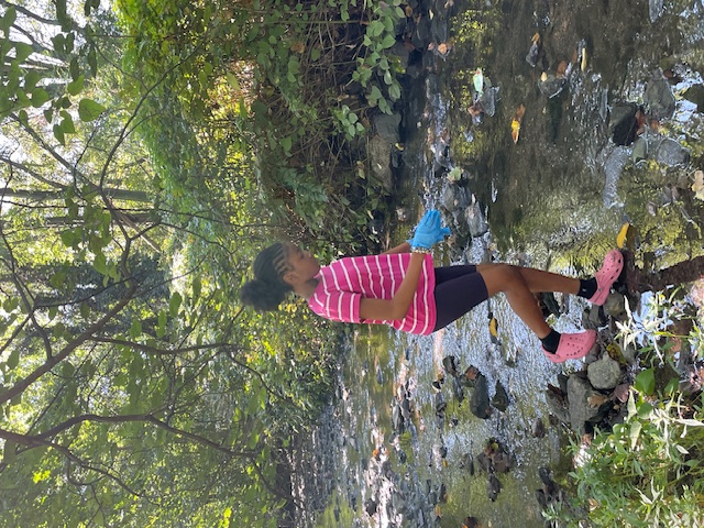 A young woman wearing latex gloves walks into a creek in a wooded area to gather a water quality sample.