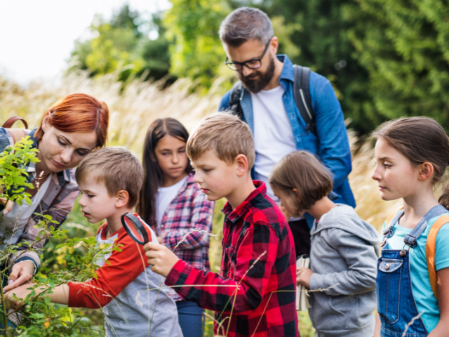 A group of kids investigate a bush in a grassy meadow. One is holding a magnifying glass