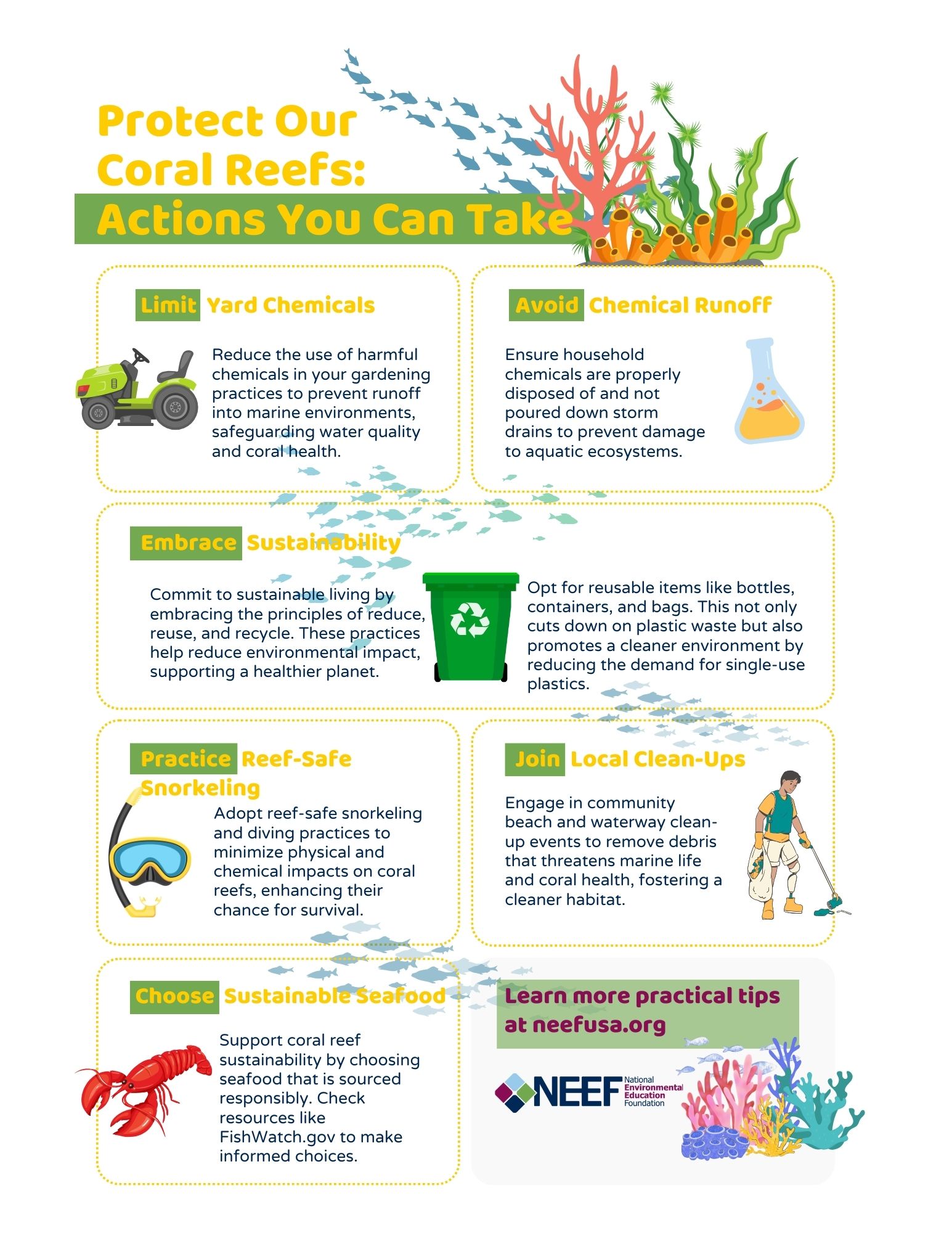 An infographic illustrating the many different ways you can take action to protect coral reefs.