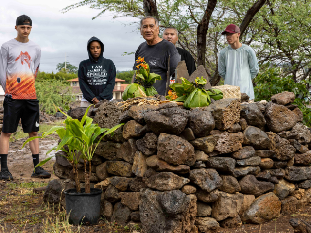 Several men stand behind a large altar consisting of stacked rough stones with traditional Native Hawaiian offerings placed on top