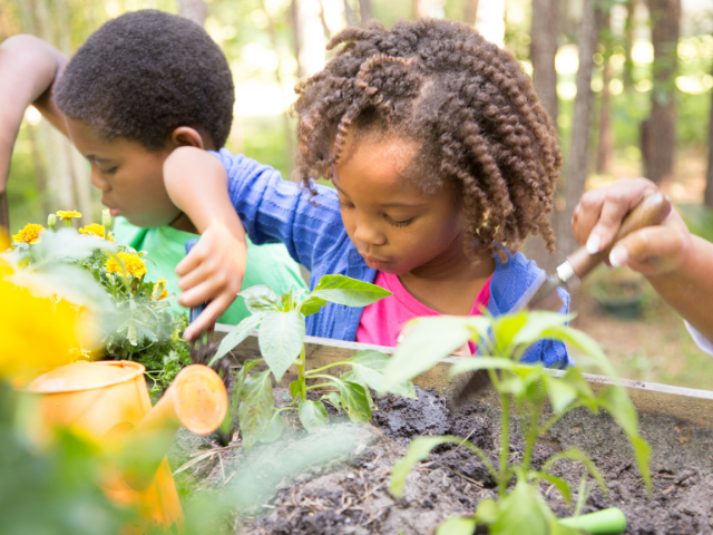 A young girl plants some flowers in a raised flower bed