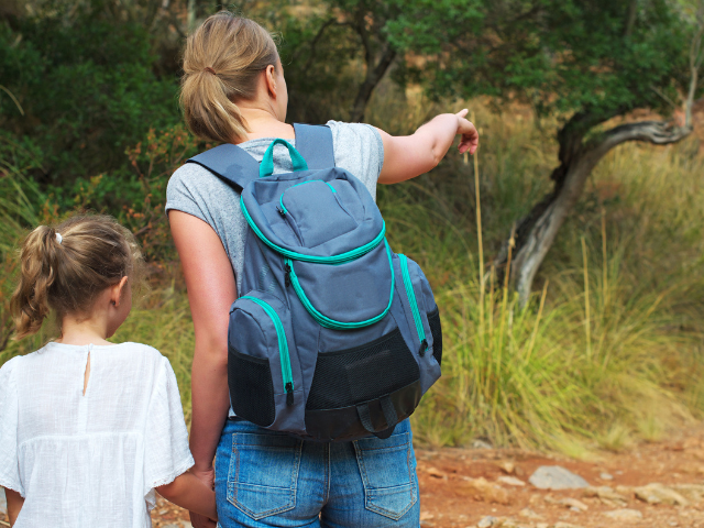 A woman wearing a backpack holds hands with her daughter on a hike. She points off to a tree in the distance 