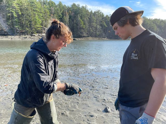 A young woman in waders shows a young man wearing a backwards baseball cap something that she has unearthed from the muddy tidepool they are standing in