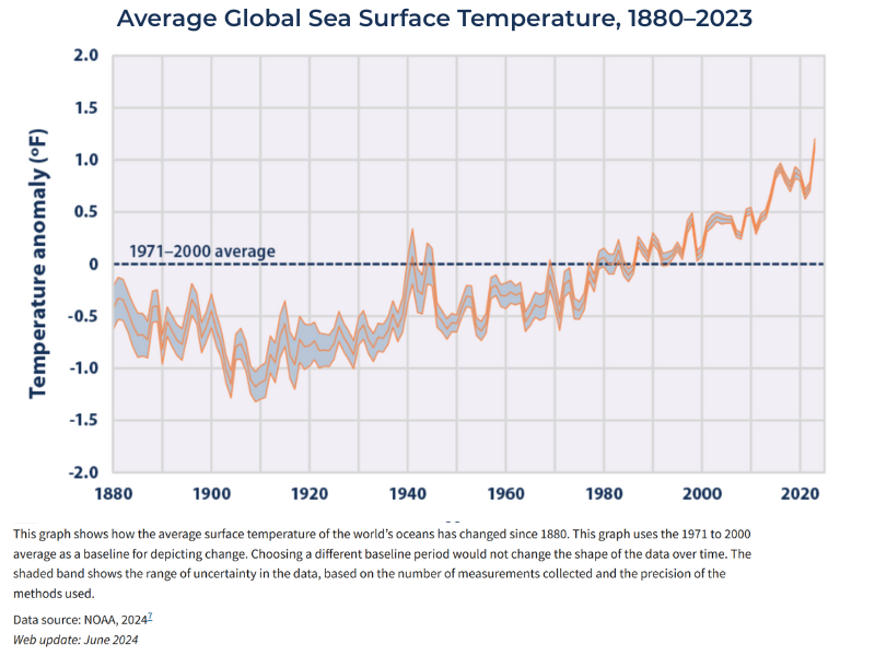 line graph of average global sea surface temperature