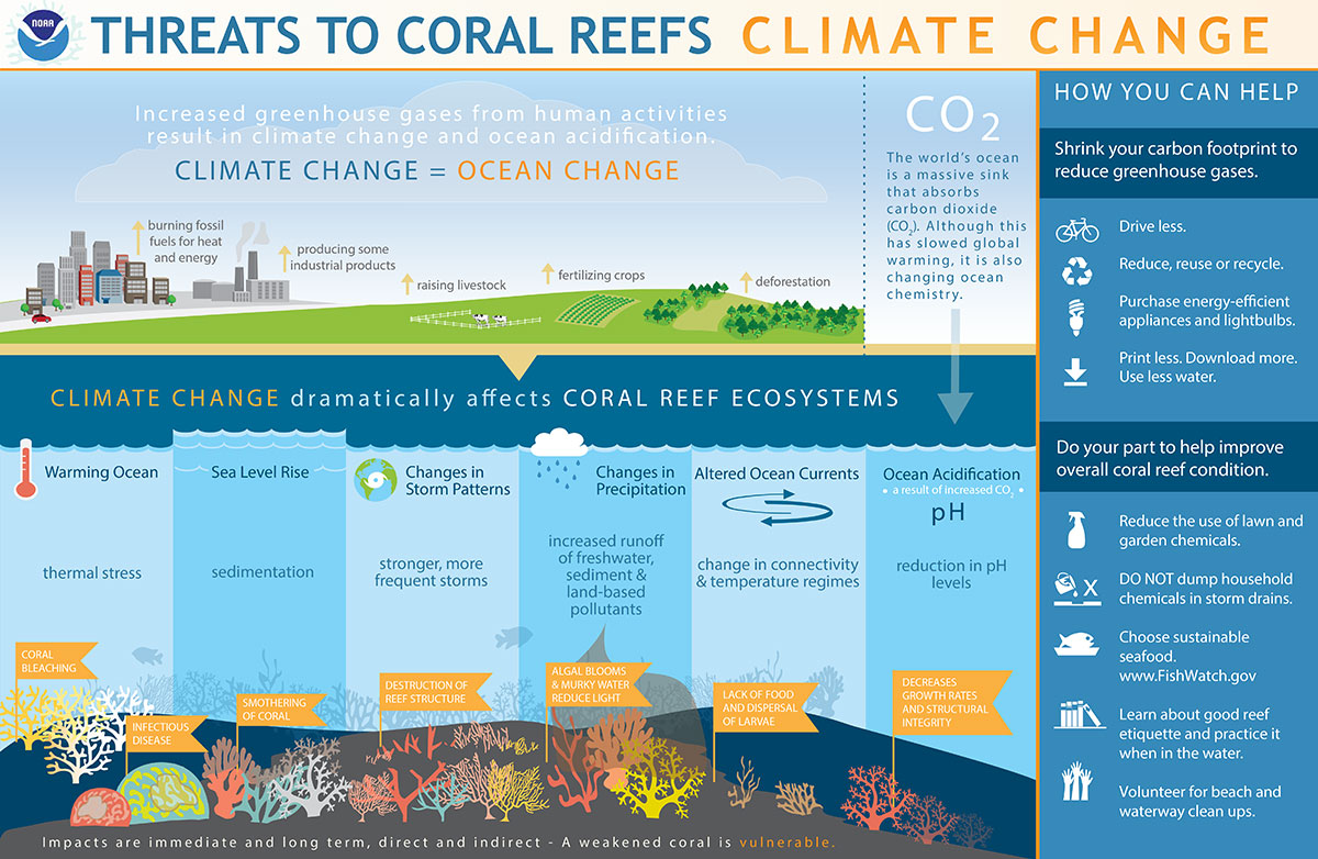 Infographic that illustrates just how much of a threat climate change poses to coral reefs.