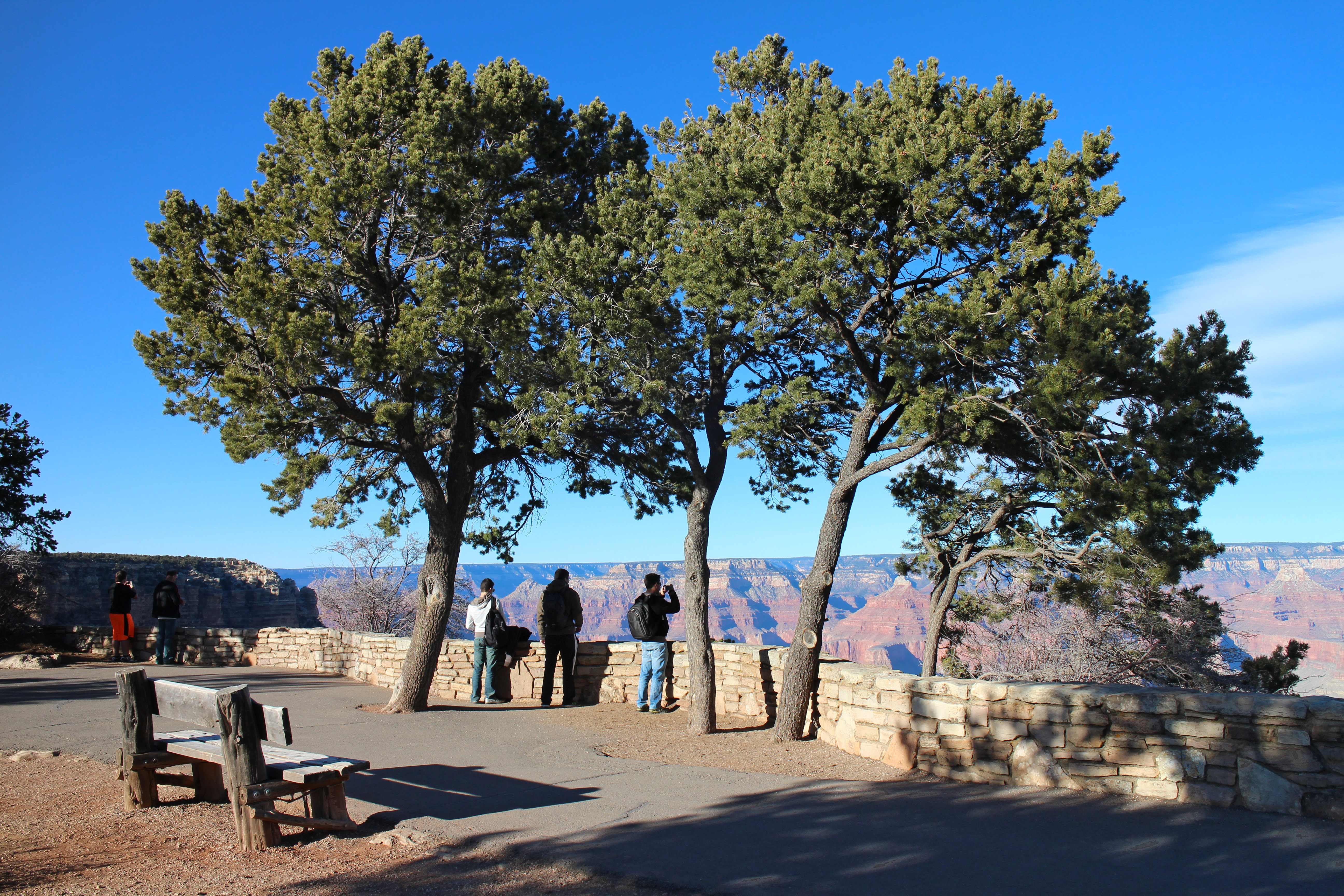 A landscape photo of visitors taking in the view from an overlook of the vastness of Grand Canyon National Park