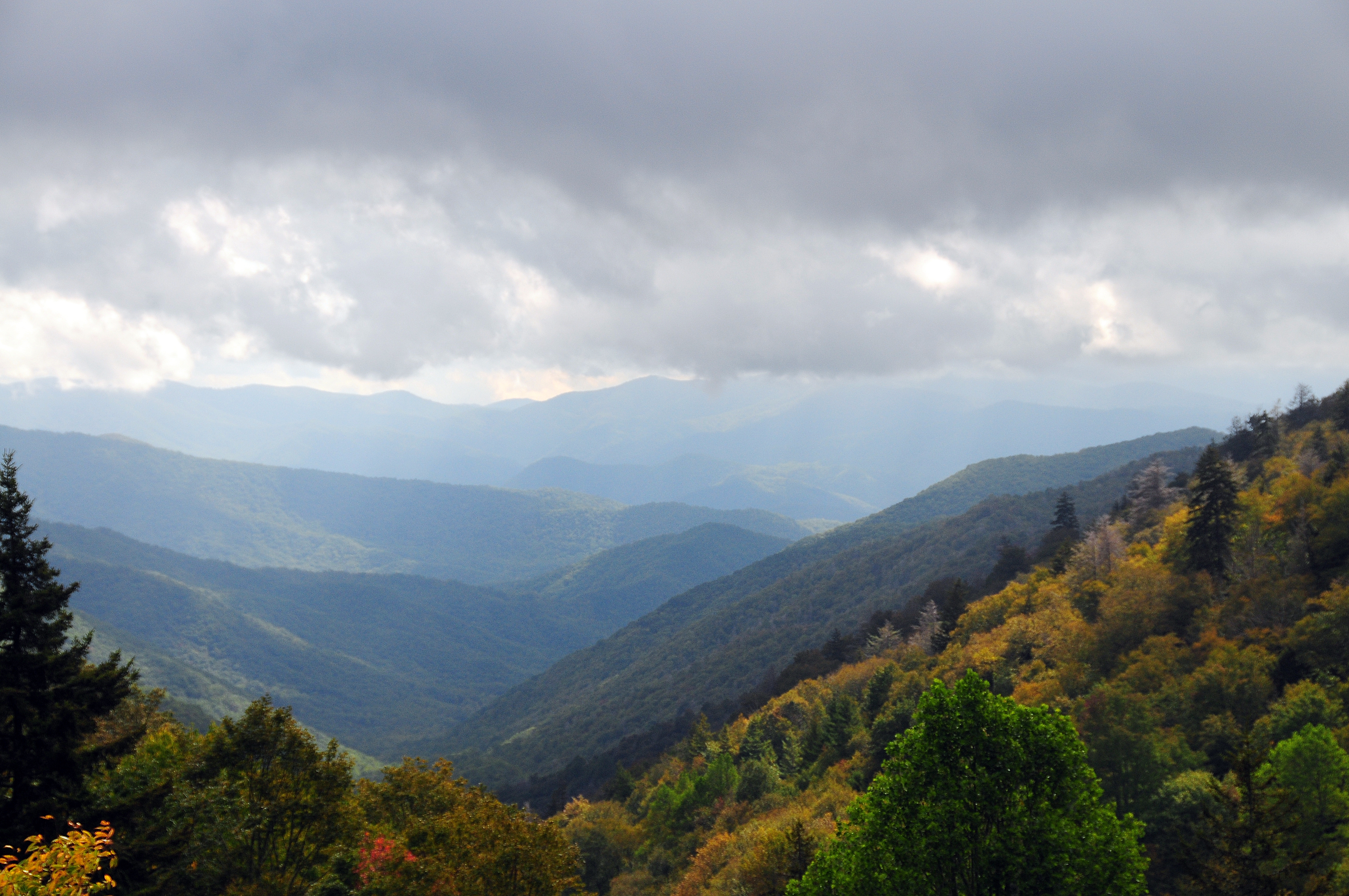 A landscape photo of the lush, low mountains of Great Smoky Mountains National Park