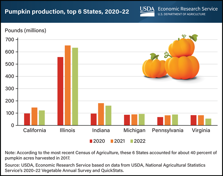 A chart showing pumpkin production in millions of pounds for the top six states in America from 2020-22, with Illinois far and away producing the most.