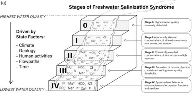 An infographic showing the stages of freshwater salinization syndrome from highest to lowest water quality.