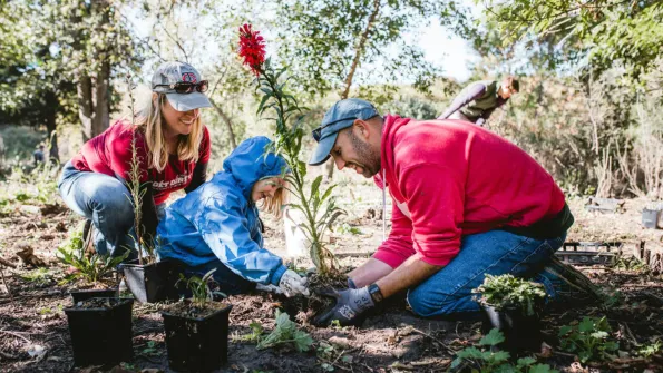 Two parents help their small child plant a large red flower in a park