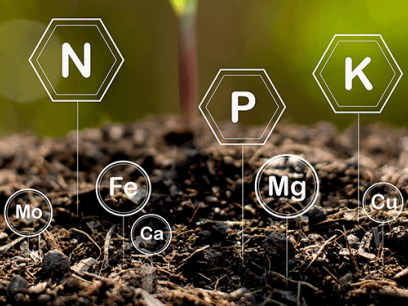 photo of soil overlayed with elemental symbols Mn, CI, S, N, Fe, Ca, P, Mg, K, Cu, Zn, B
