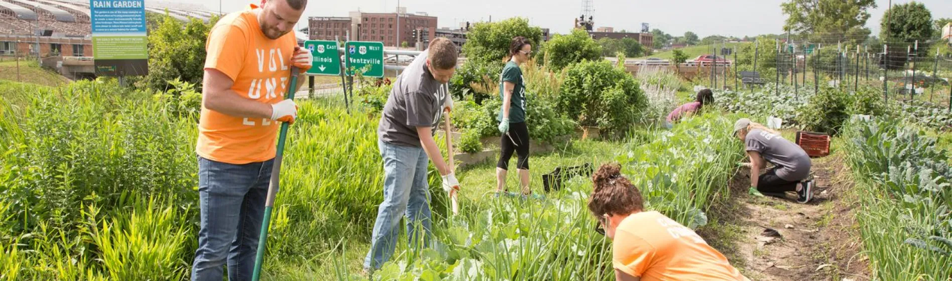 volunteers help in a community garden as part of NEEF Grant