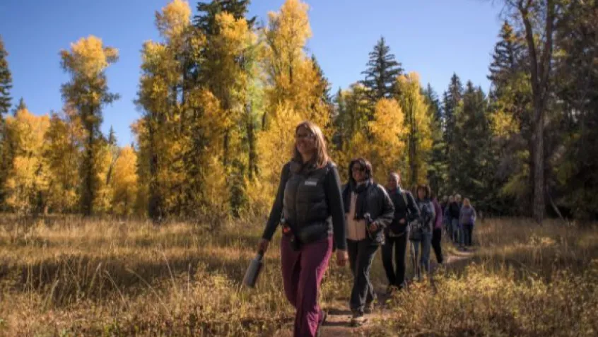 a diverse group of people take a hike through a autumn forest