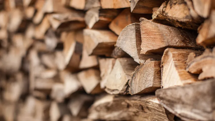 Stack of firewood