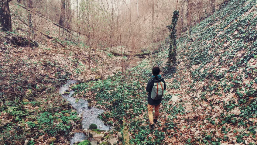 Hiker in woods