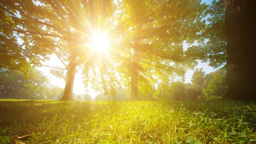 Learn More About UV Radiation | The National Environmental