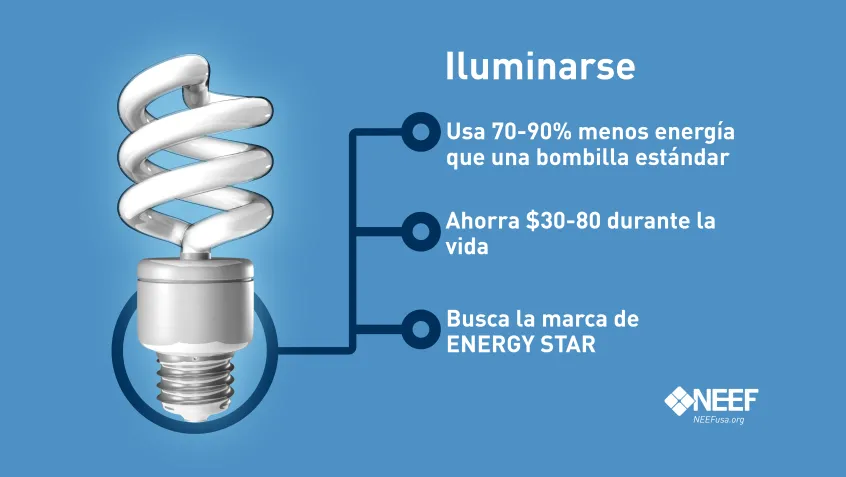 CFL Light Bulb Spanish