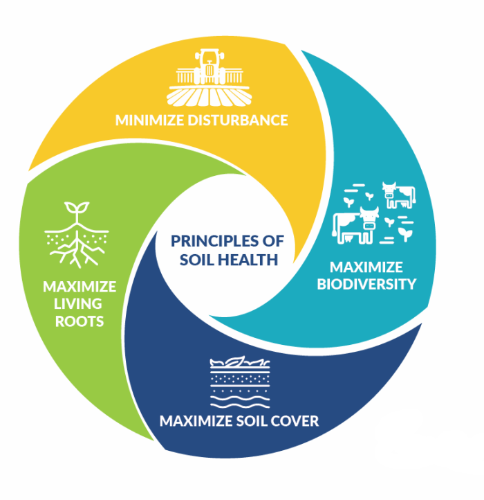 Principles of soil health circle graphic from Natural Resources Conservation Service - USDA
